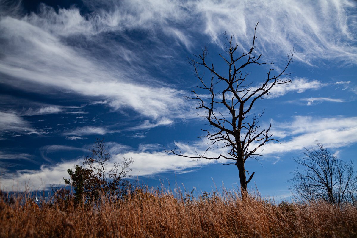 “Totalitarianism begins in contempt for what you have. The second step is the notion: ‘Things must change—no matter how, Anything is better than what we have.’ Totalitarian rulers organize this kind of mass sentiment… and make the people somehow love it.”

— Hannah Arendt, who