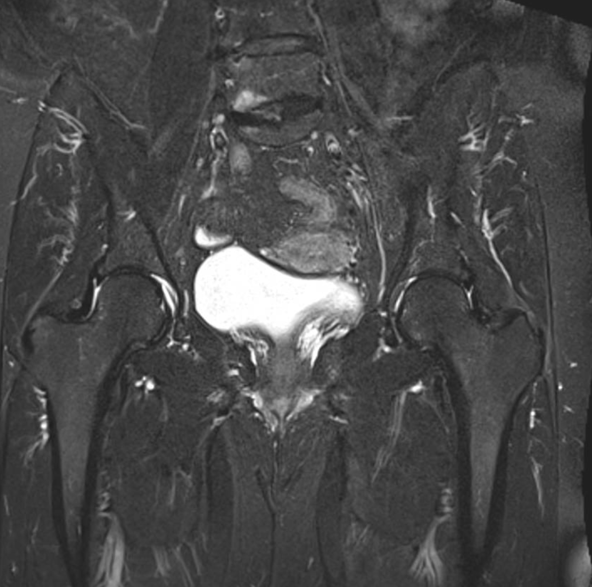 James Noake tweet media