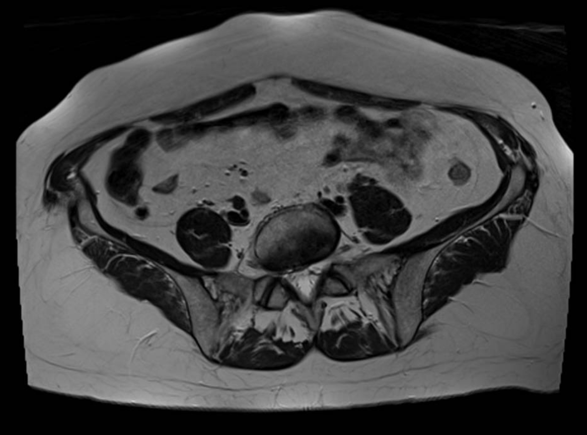 James Noake tweet media