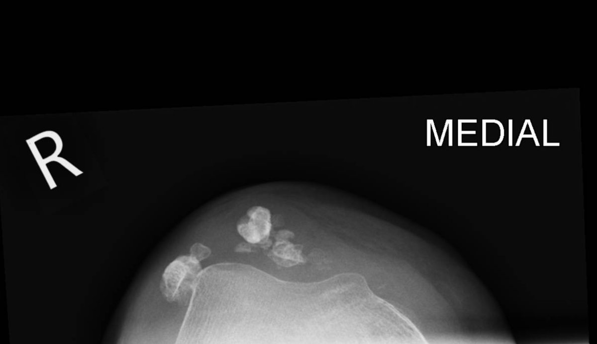 James Noake tweet media