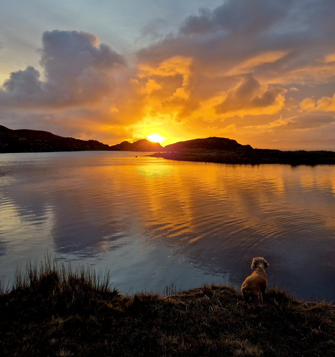 cormac_mcginley's tweet image. Even Pickles found herself mesmerised by the Sunrise and its reflection. 
Sliabh Liag, County Donegal, Ireland.
