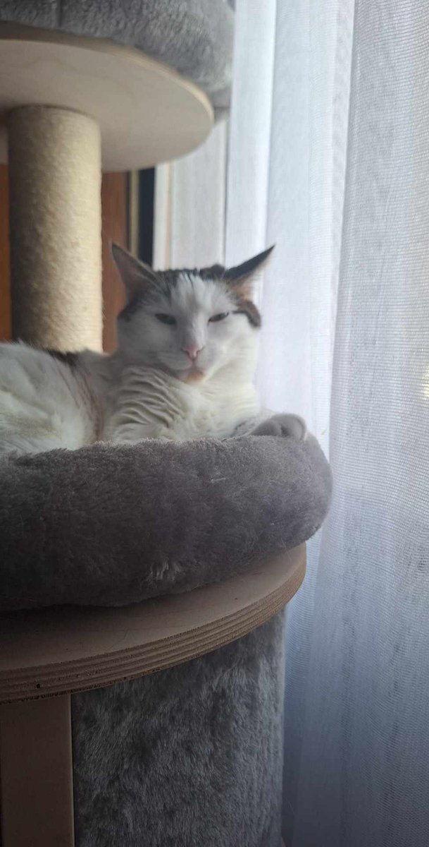 EdenIssue's tweet image. Muehehehehe