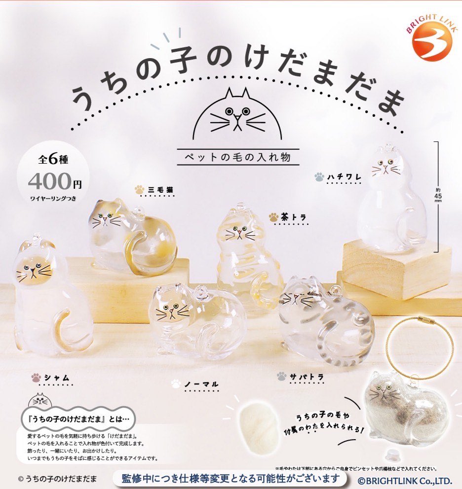 お知らせ📢 カプセルトイになります🐱 5月頃発売予定です。 よかったら