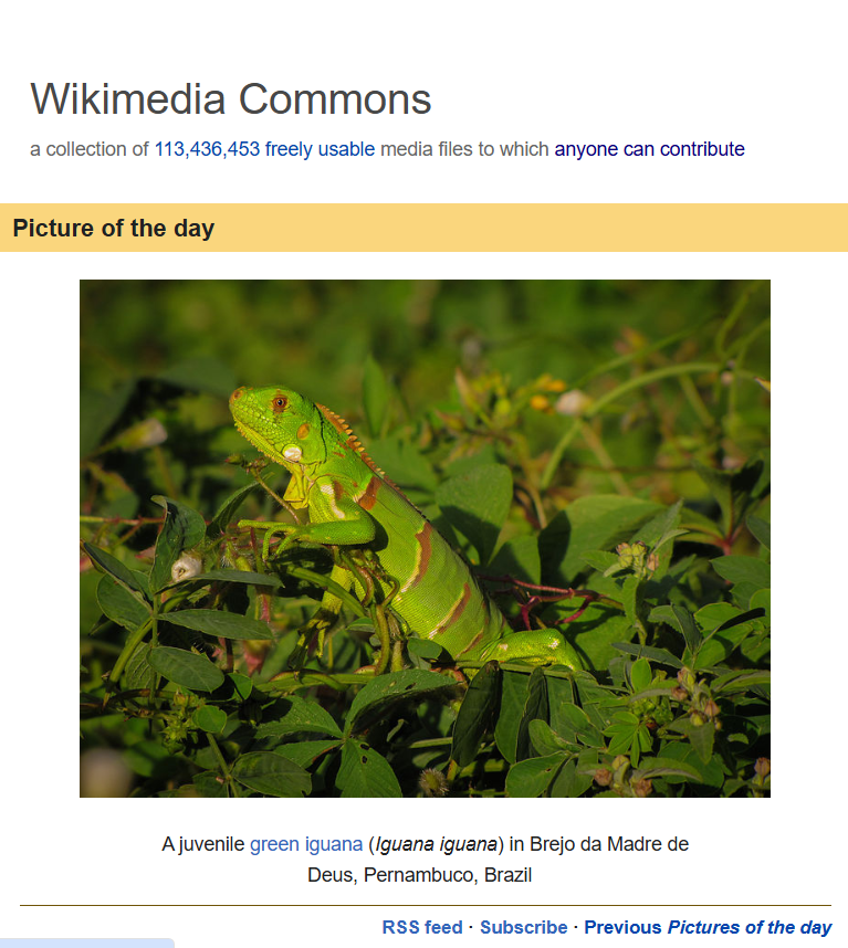 Wikimedia_ZA's tweet photo. Did you know? 

Wikimedia Commons hosts over 100 million freely licensed media files, including images, audio, and videos. It is a valuable resource for educators, creators, and knowledge seekers worldwide!

#WikimediaZA #WikiFacts https://t.co/bdKfBgVr9W