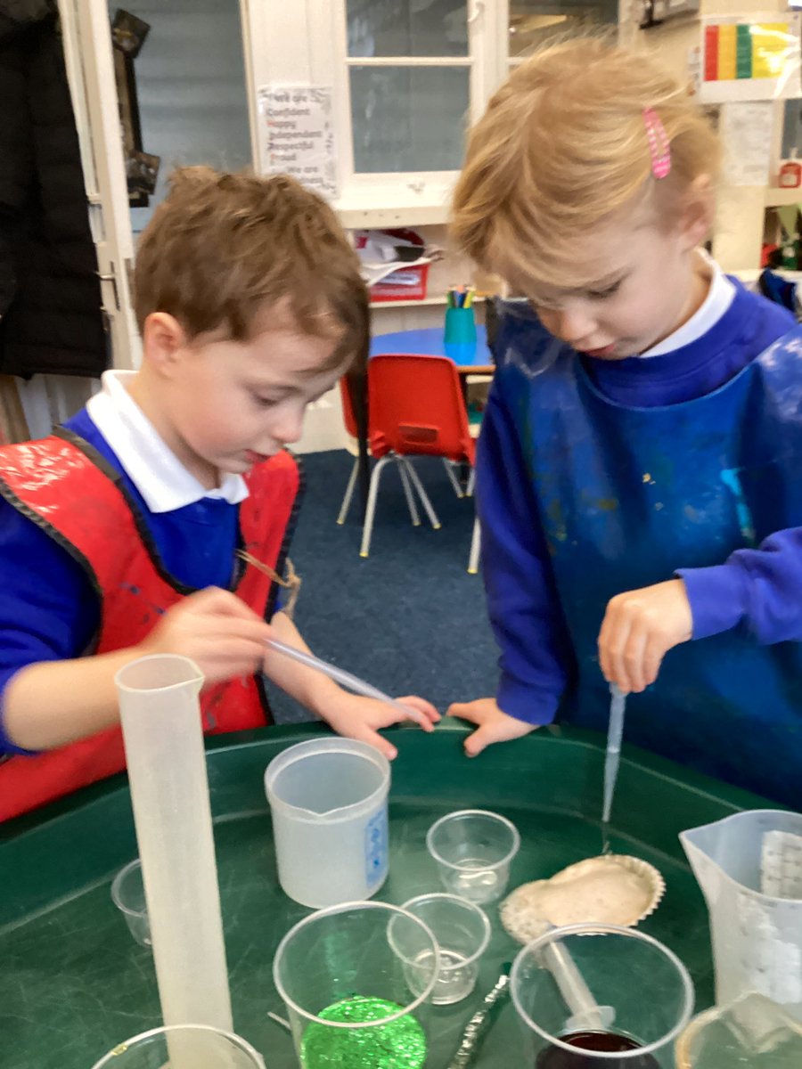 Reedness Primary School tweet media