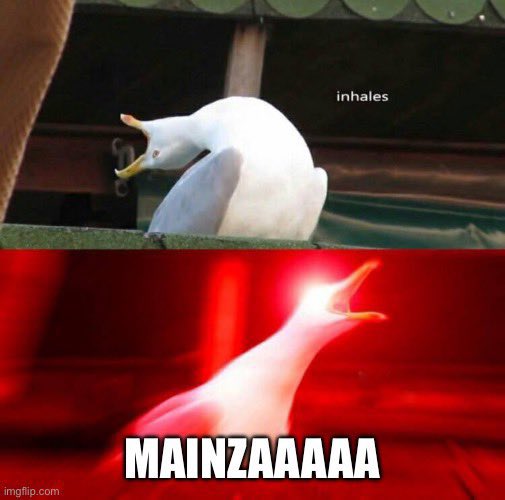 vibingaround's tweet photo. @mainz05memes https://t.co/7WMbmMbcgo