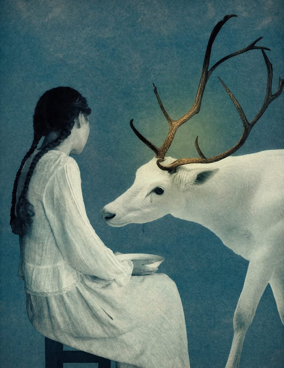 KamilaKansy's tweet image. 