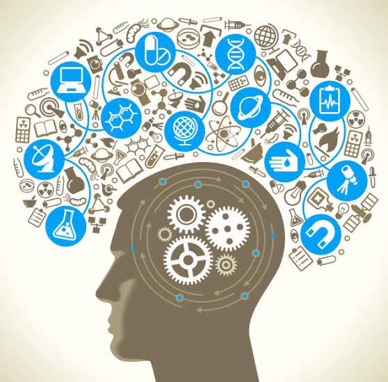 Meta-science: Being scientific about science – The EDIT Blog