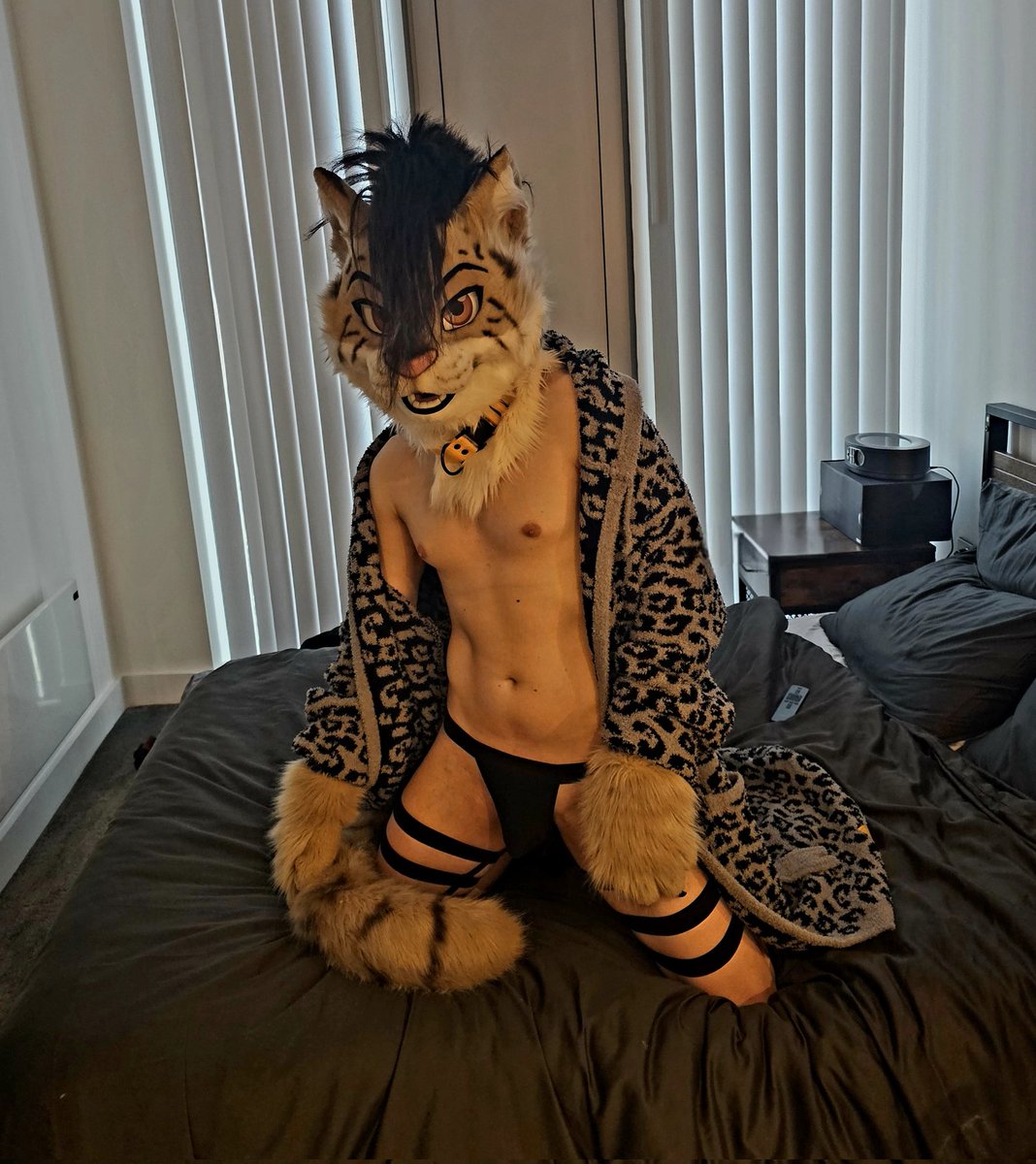Anyone up for the challenge of trying to survive a round (or five) with this cat? 😈