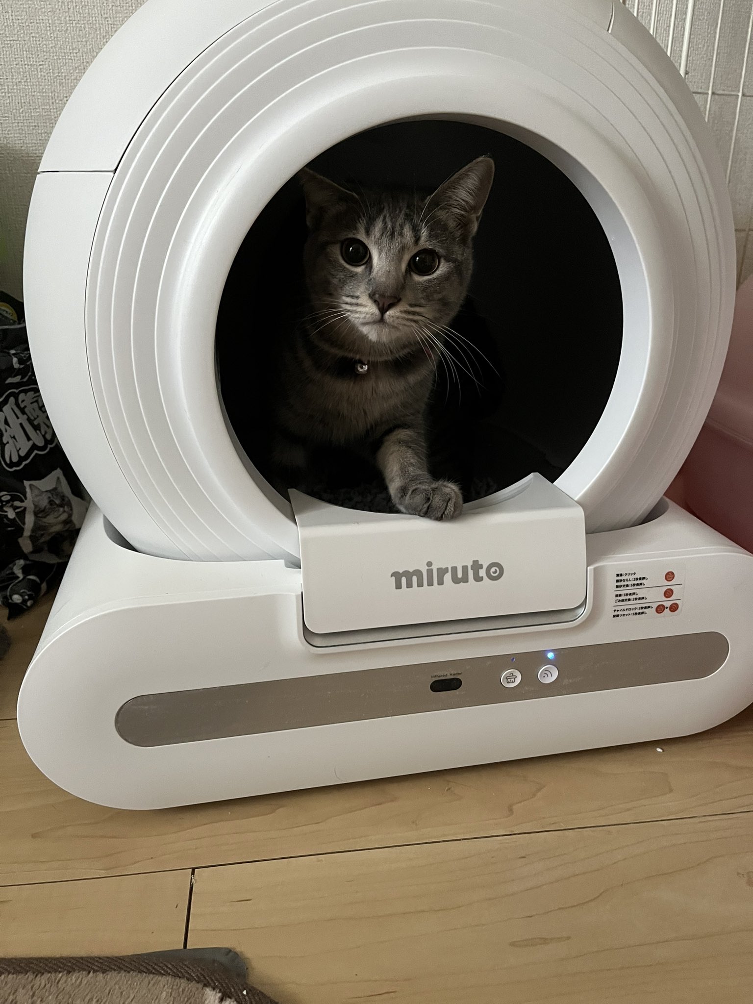 最高の ゆうさま専用】miruto 2匹約半年使用袋 2578全自動猫用トイレ トイレ用品