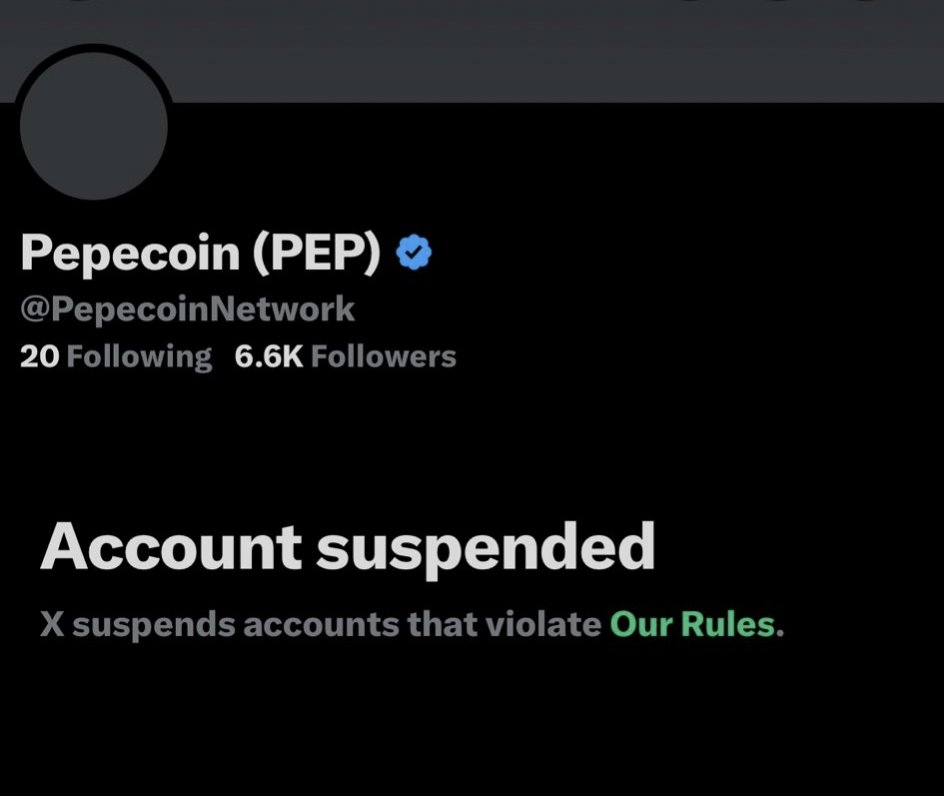 PepecoinLFG tweet media