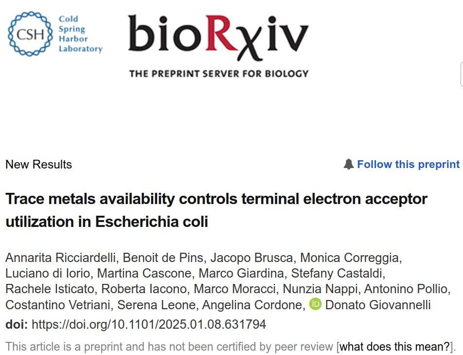Donato Giovannelli tweet media