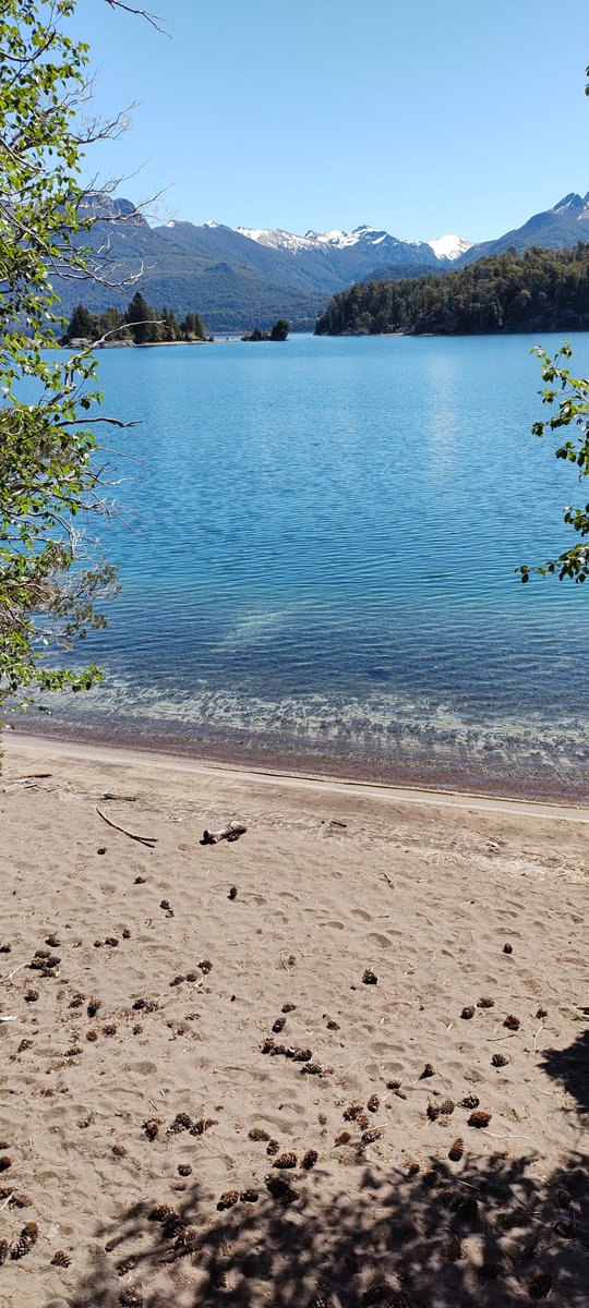 ¡Buen día y feliz viernes desde la Isla Victoria, Puerto Anchorena, en la majestuosa Patagonia Argentina! Que la pureza de esta naturaleza inspire tu jornada. Como dijo Albert Einstein: "Mira profundamente en la naturaleza y entonces comprenderás todo mejor". 

#BuenViernes