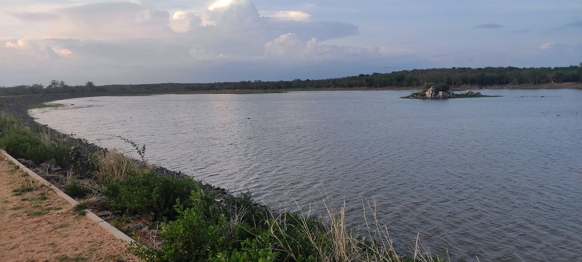 The Environmentalist tweet media