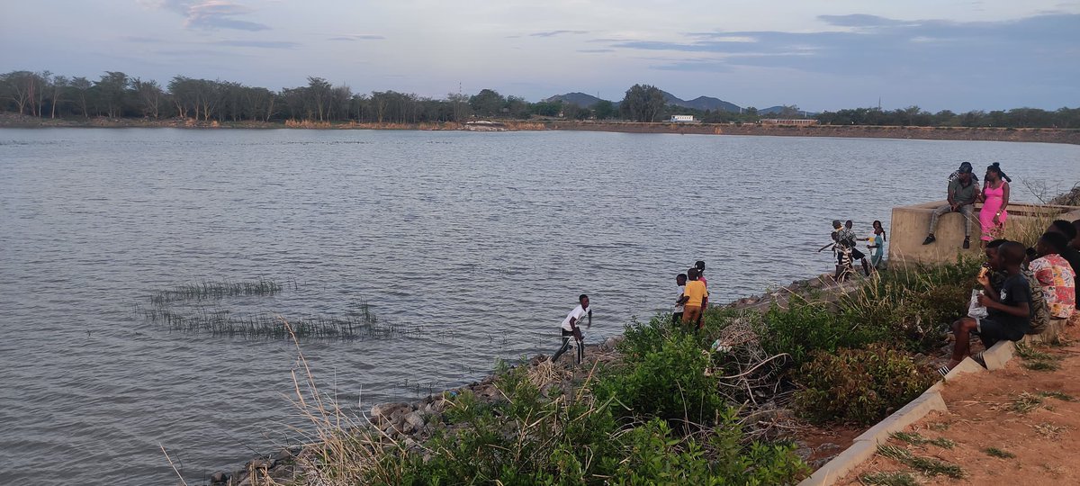 The Environmentalist tweet media