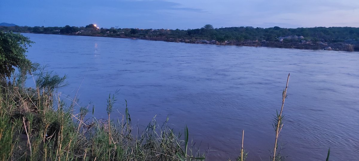 The Environmentalist tweet media