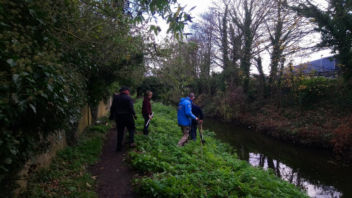 PickerelProject's tweet image. Getting ready for another river clean-up. This Sunday, 2nd February, from 10am. We'll meet by the river at the Navigation Approach bridge. The river has been a bit above its usual level this week, but should be back down to its normal level by Sunday. We'll be there with the kit.