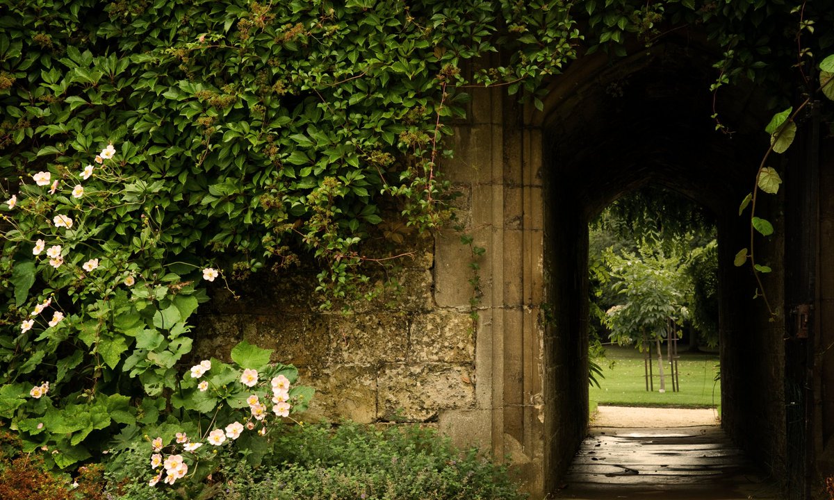 🌿 Escape the crowds &amp; discover South Devon’s best-kept secrets!🚶‍♂️🏞️

💬 What’s a lesser-known place you’d recommend? A quiet beach, scenic walk, or tucked-away café? Share your finds! 🤫 #HiddenDevon #ExploreMore