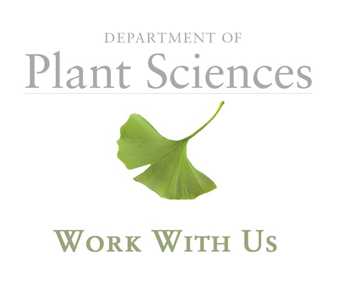 Job opportunities!

We are currently recruiting for the following:
• Research Laboratory Technician - Pellegrini
• Research Laboratory Technician - Henderson

Find out more and apply: tinyurl.com/ycyd92d7