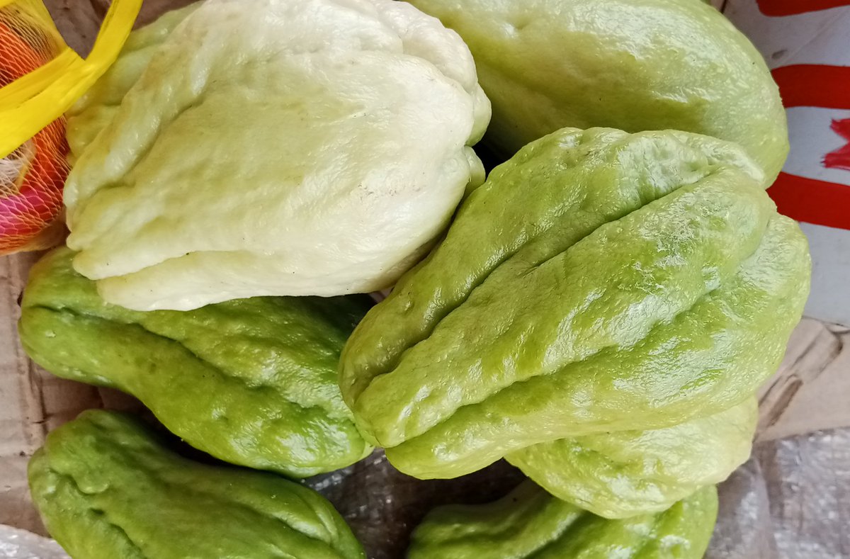 HekimaHub tweet media