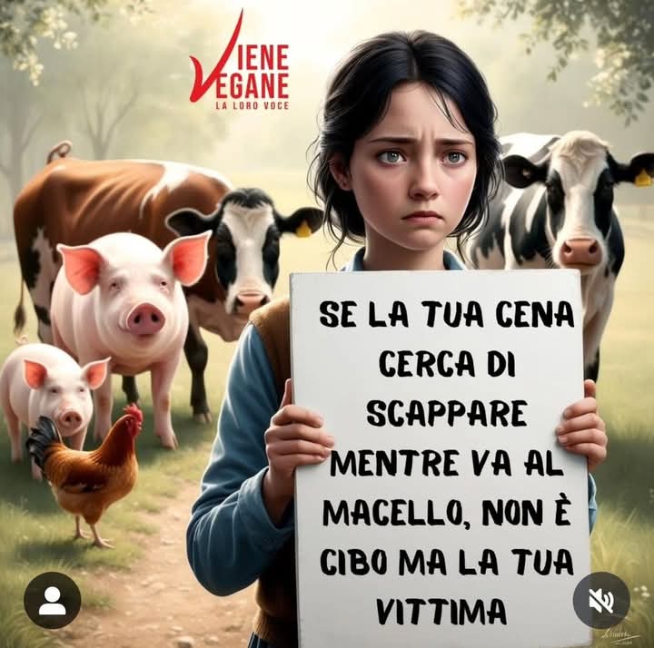pieralebon's tweet photo. https://t.co/9zhg6QJFaf
