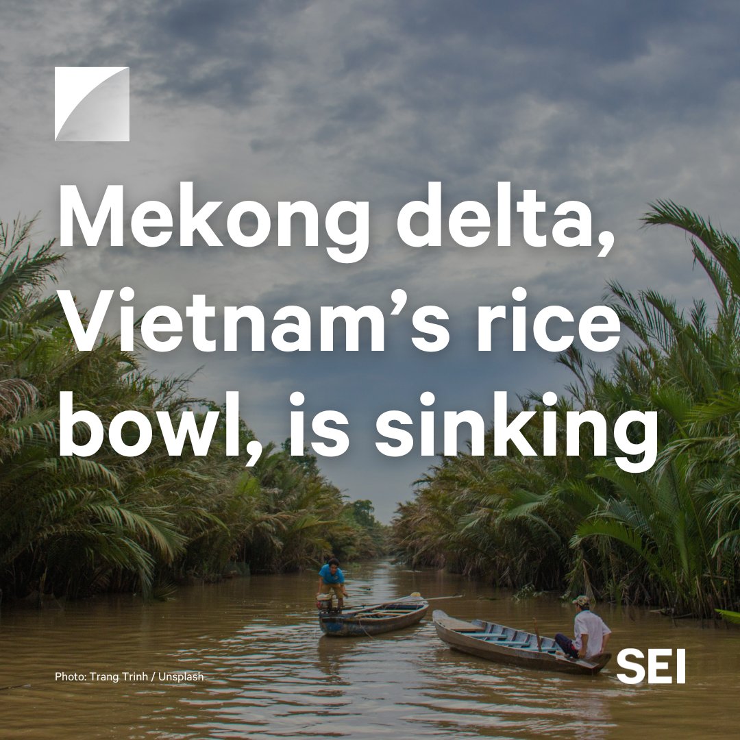 SEI Asia tweet media