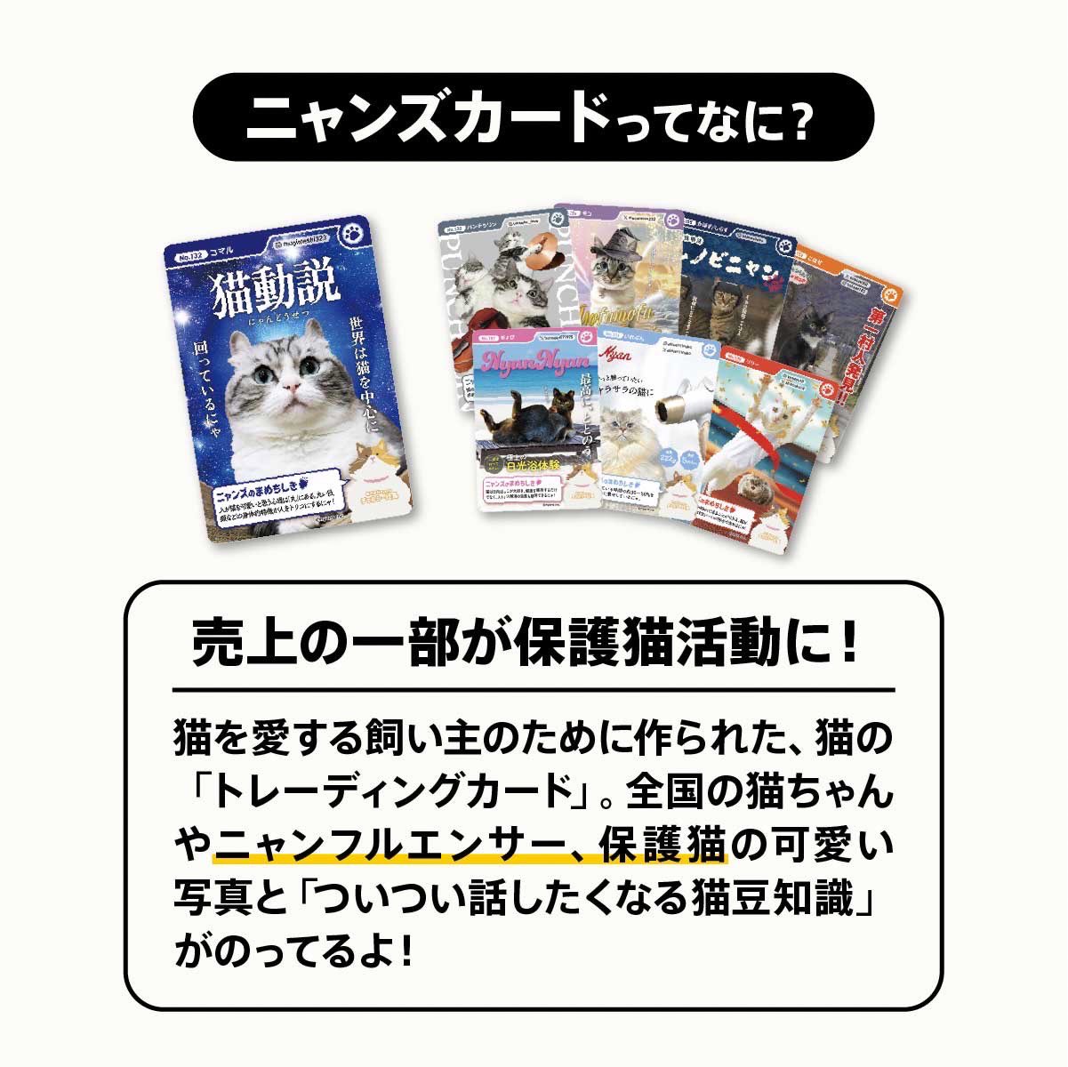 猫のためのnyans【公式】 on X: 