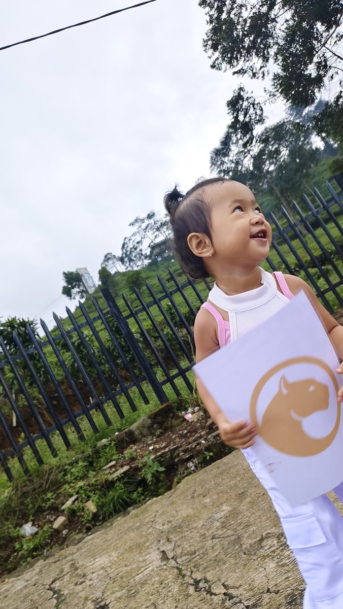 IvanLevan's tweet photo. This is one of the tea plantations located in PUNCAK-Cisarua, West Java, Indonesia. Our third child grew up with Holiverse. I hope for a good future for my family with Holiverse, together we can. @Holiverse https://t.co/j7Jyw0EnB9