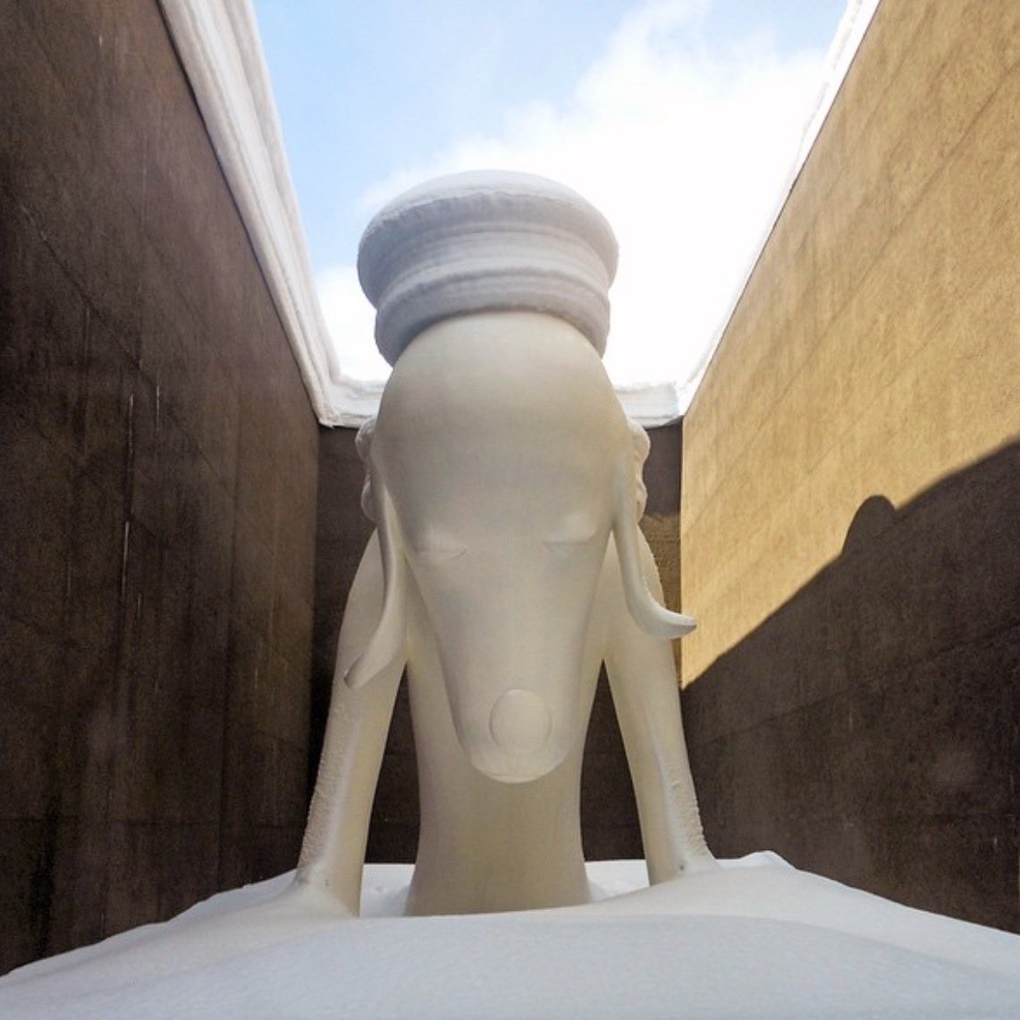 michinara3's tweet image. 東京で警報級の大雪！らしいが、これが数年前の実家の普通の積雪である！そして犬の頭に雪帽子である！あんまり降りすぎると帽子がすぐ落ちちゃうので、毎日少しづつ積もるのが雪帽子に関しては理想です。

 #警報級大雪