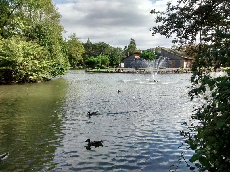 Humber Royal tweet media