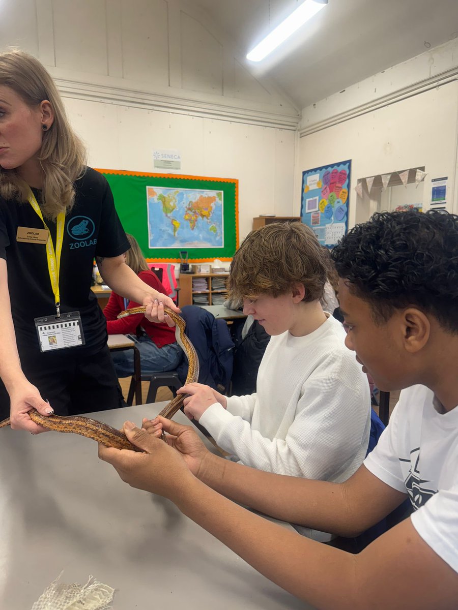 Chiswick School T&L tweet media