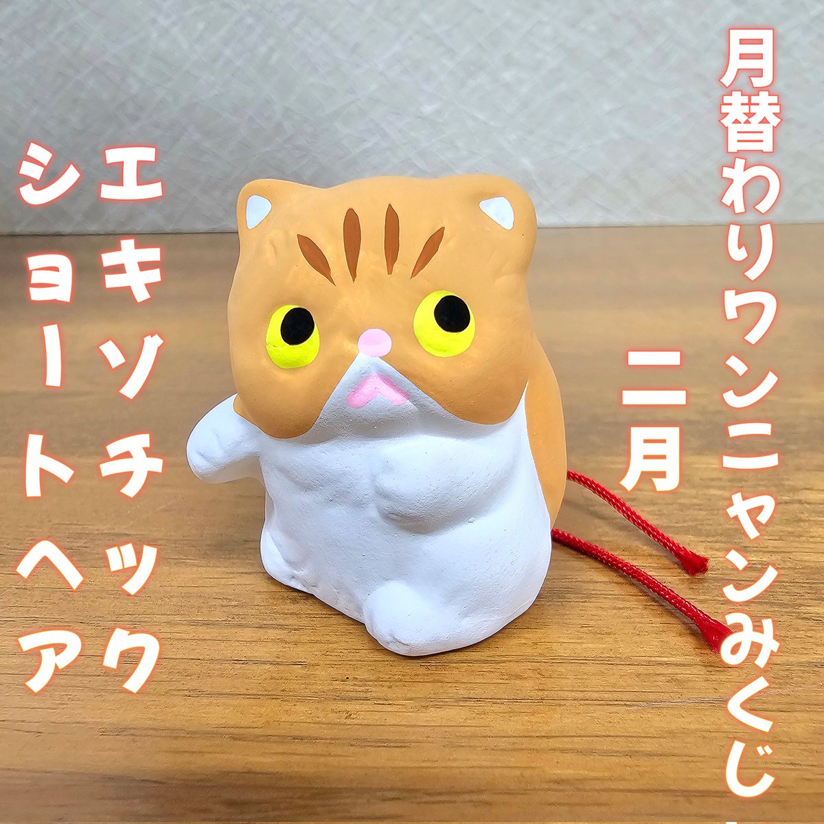 🐶月替わり陶器みくじ「ワンニャンみくじ」のご案内🐱 ⁡ 12月からわん