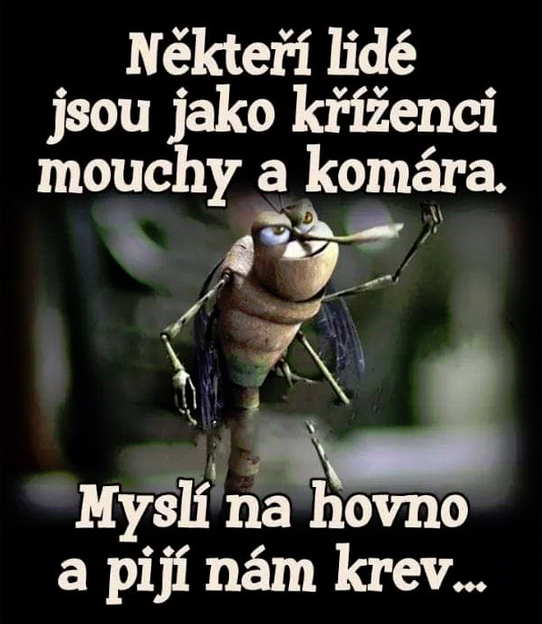 Petr_M_Uldrych's tweet photo. https://t.co/W0TKhevv8e
