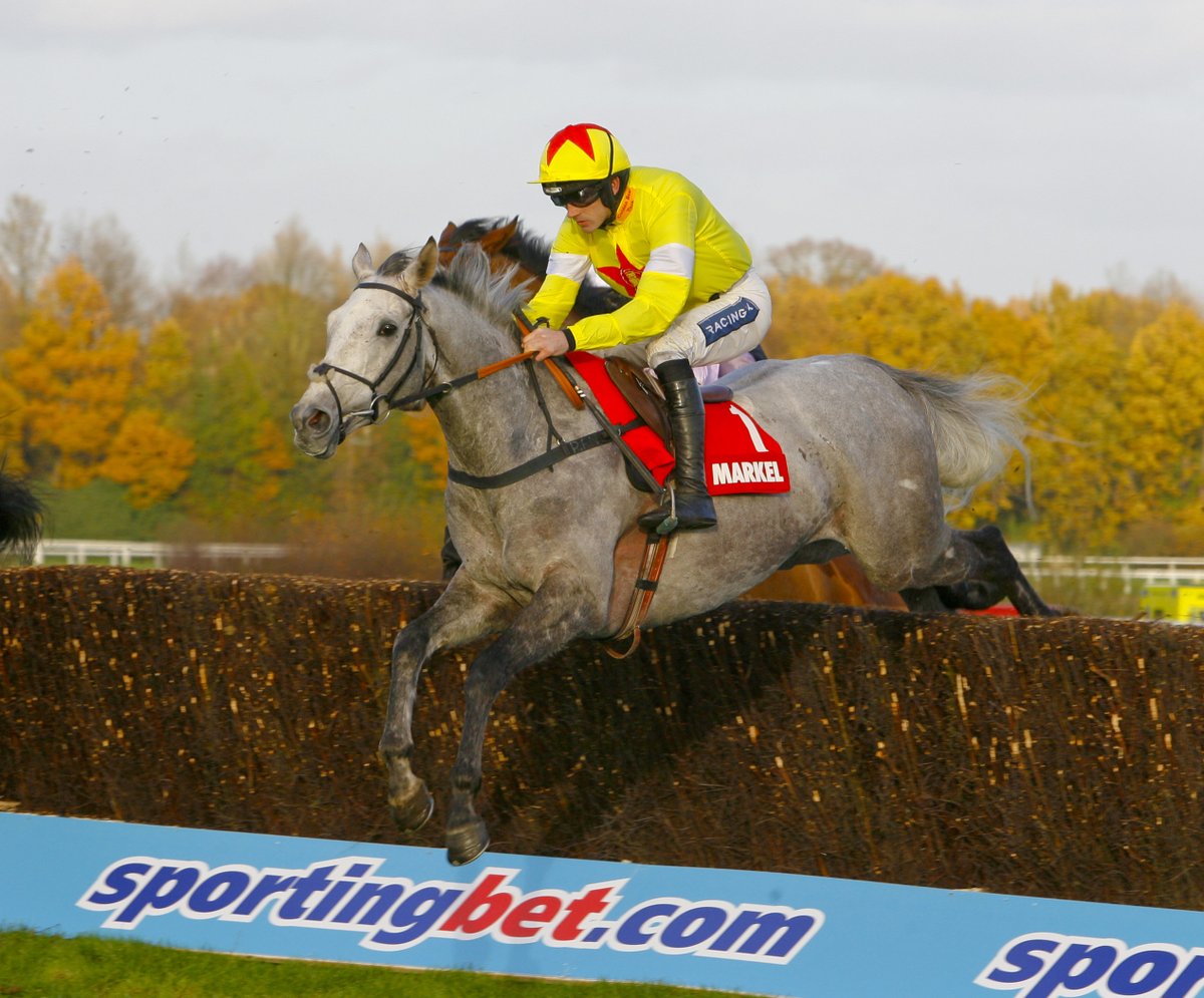 John Hales had some great horses 😍

🌟 One Man 
🌟 Azertyuiop
🌟 Politologue
🌟 Protektorat
🌟 Neptune Collonges
🌟 Al Ferof