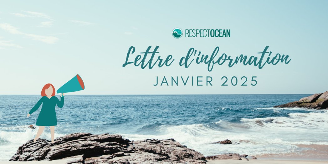 🔍[NEWSLETTER JANVIER]
Parmi les sujets ce mois-ci :
📄Vœux de Sarah Lelong, Présidente
📄[INVITATION] Soirée "L'économie bleue régénérative"
📄[Congrès mondial de la nature 2025] RespectOcean porte une motion
📄Rapport d'Activité 2024
📄Nouveaux membres
▶urlr.me/nUzg3u
