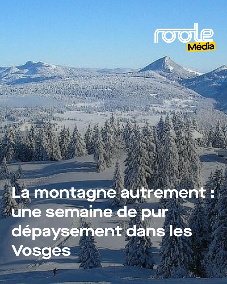 Des paysages enneigés, des activités insolites et un air pur vous attendent dans les Vosges. Un dépaysement à vivre pleinement ! ❄️⛷️
➡️ l.roole.fr/6k