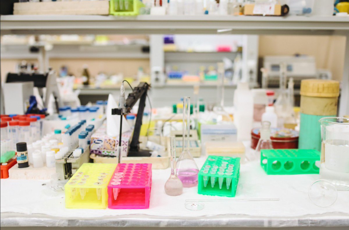 FundColmena's tweet photo. Ayudas a la Investigación Fundación La Colmena 2025:

 ¿Tienes un Proyecto de Investigación en Neurodegeneración, Cáncer o Longevidad?

 Información y Bases Convocatoria en: https://t.co/lCRTyK32Fb

Abrimos el plazo para presentar solicitudes: del 3 de Febrero al 30 de Junio. https://t.co/vF7aNLvthY