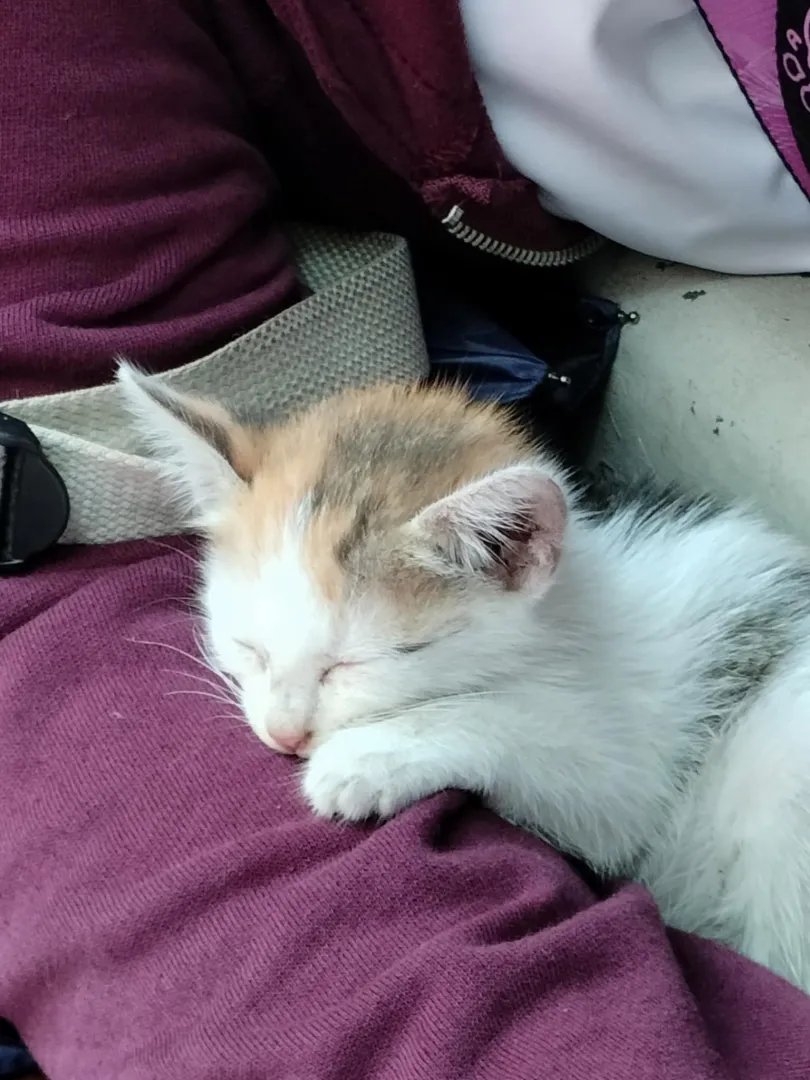 niduol siya sa akoaa 🥹