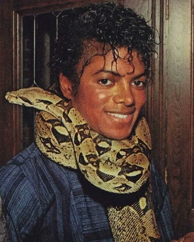 TheBHistorian's tweet image. 🐍 How Michael Jackson brought his pet boa constrictor to a Motown executive’s house… and hid it in her pillowcase! 😳 (A THREAD)