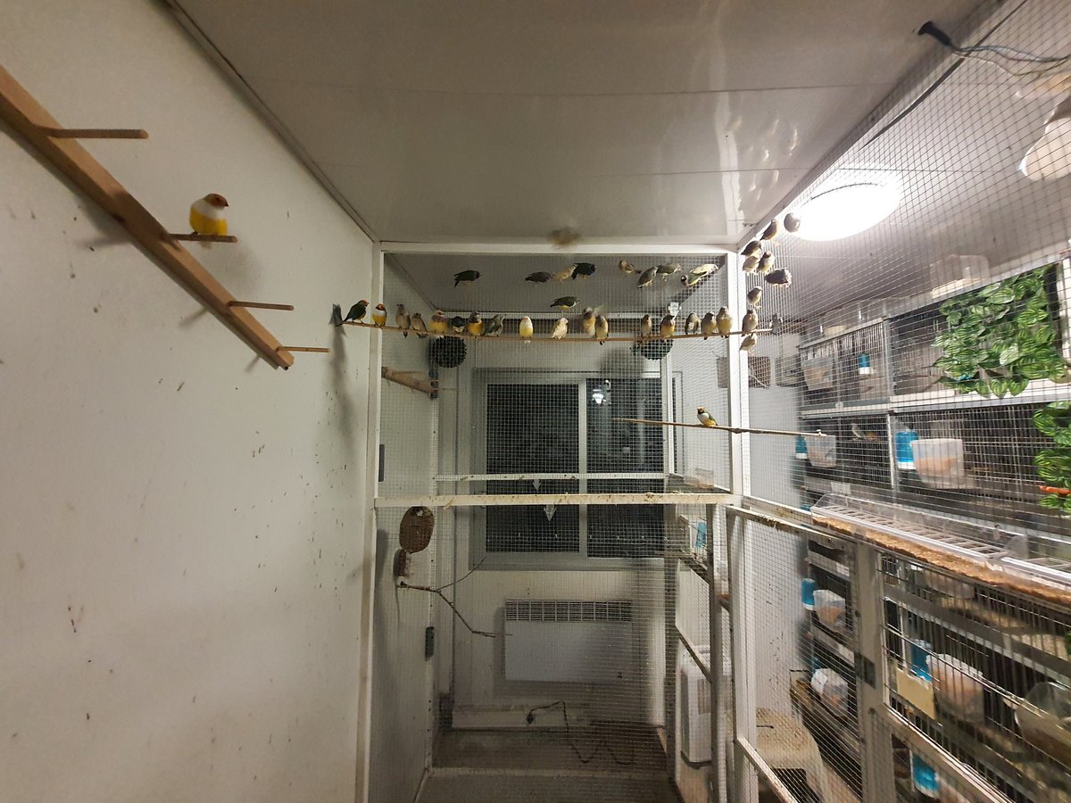 F4fjh Eric Meheust (@ericmeheust) on Twitter photo 