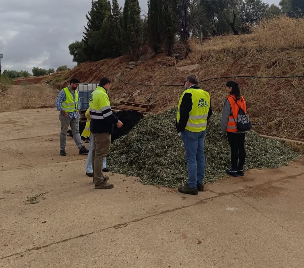 CanalUGR's tweet photo. 🫒 Investigadores de la #UGR trabajan en un proyecto que mejora el aprovechamiento del olivar para conseguir abono natural

✍🏻 La iniciativa se basa en el uso del alperujo, principal residuo que se genera en la extracción del aceite de oliva

Conoce más ➡️ https://t.co/f0Ai3svsL4 https://t.co/jq5CwHPySU