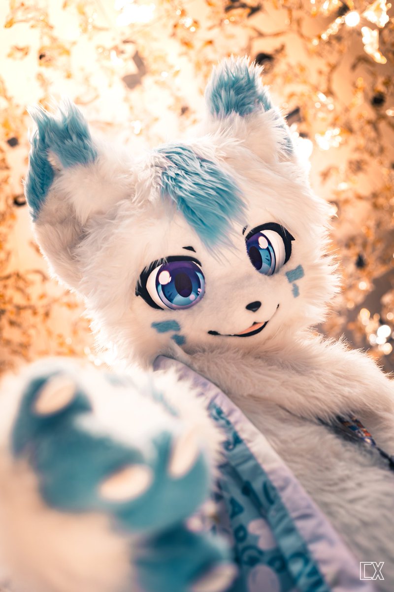 夜空中最亮的星 能否听清✨
那仰望的人 心里的孤独和叹息✨
——《夜空中最亮的星》逃跑计划🎶
📸：@晨新