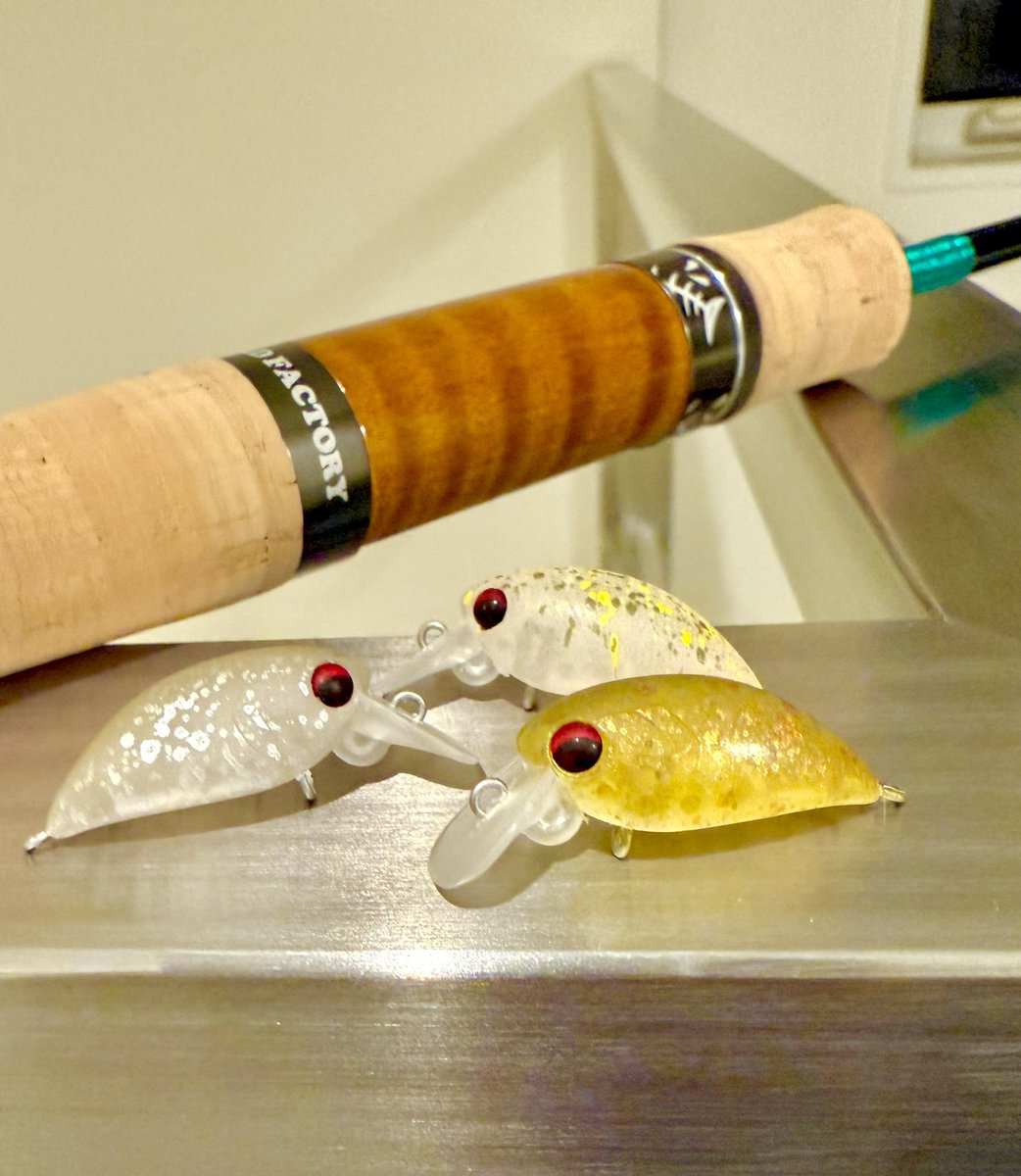 来月早々から受注を開始致します レム23FSR／SSSRとベビーメタクラ