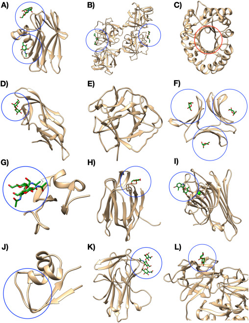 MoBi_UGent's tweet image. 🌱 New publication by @ElsVDjm GLYCO group: "The Future of Plant Lectinology: Advanced Technologies and Computational Tools" in BBA Advances! 📖 lnkd.in/eiqwKVrY @FbwUGent
#lectins #plantresearch #glycobiology 🍬