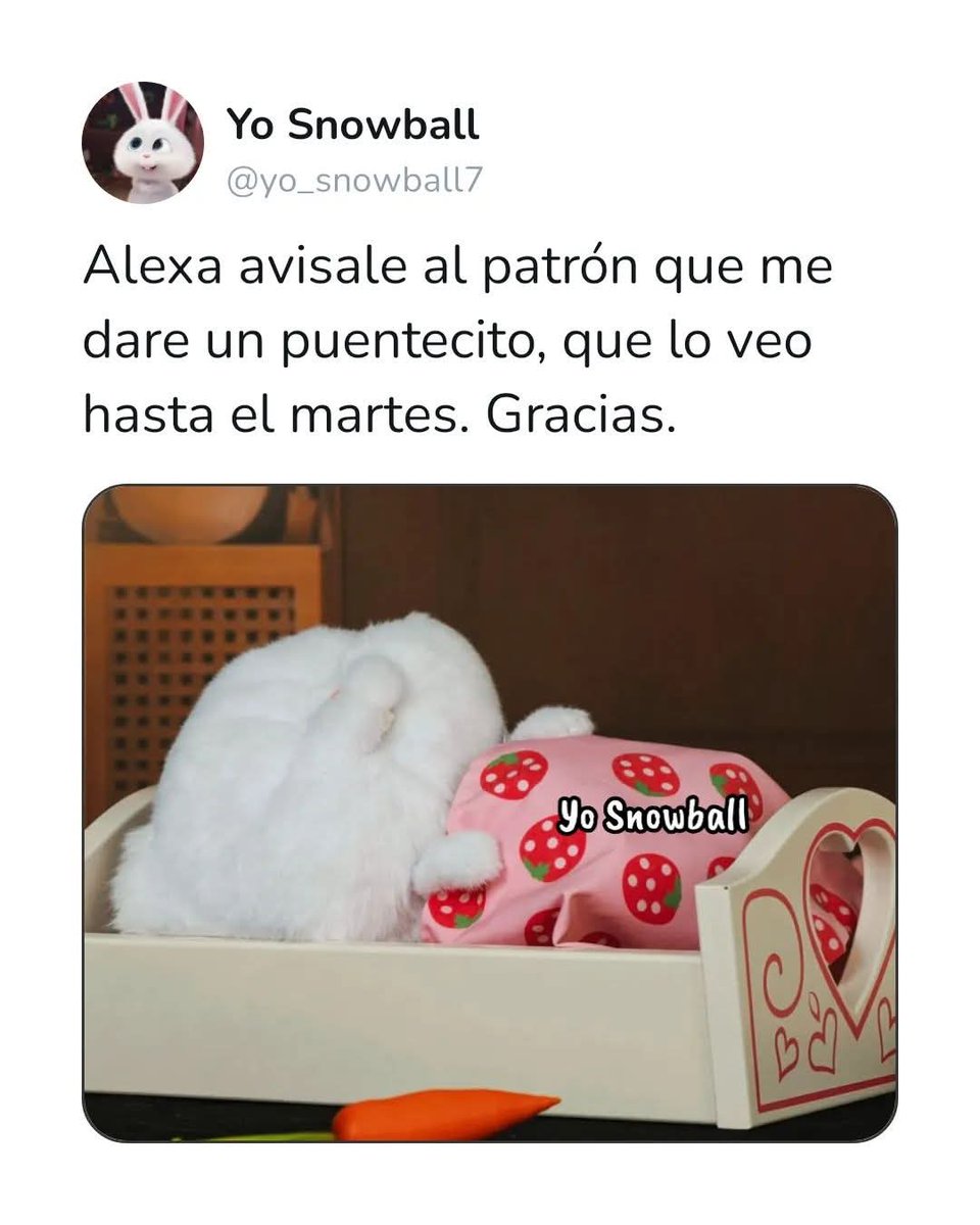moalgama79's tweet photo. Pero como yo soy 🤔una adulta trabajadora y responsable tenemos que laborar 🥹😊😎 pero soñar no cuesta nada 😉 https://t.co/sOu1GvORZY