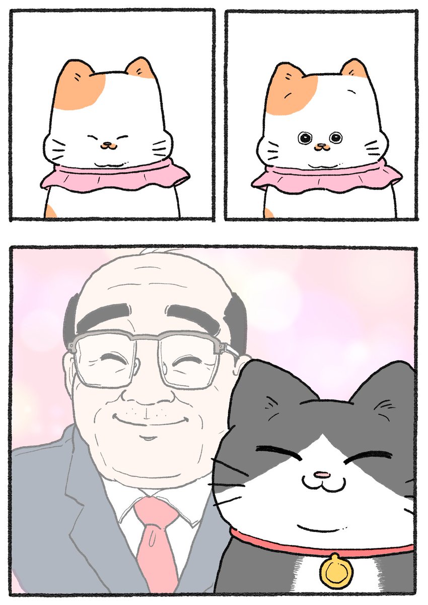 ねこに転生したおじさん。その642 | やじま@ねこおじ6巻発売中 さんの
