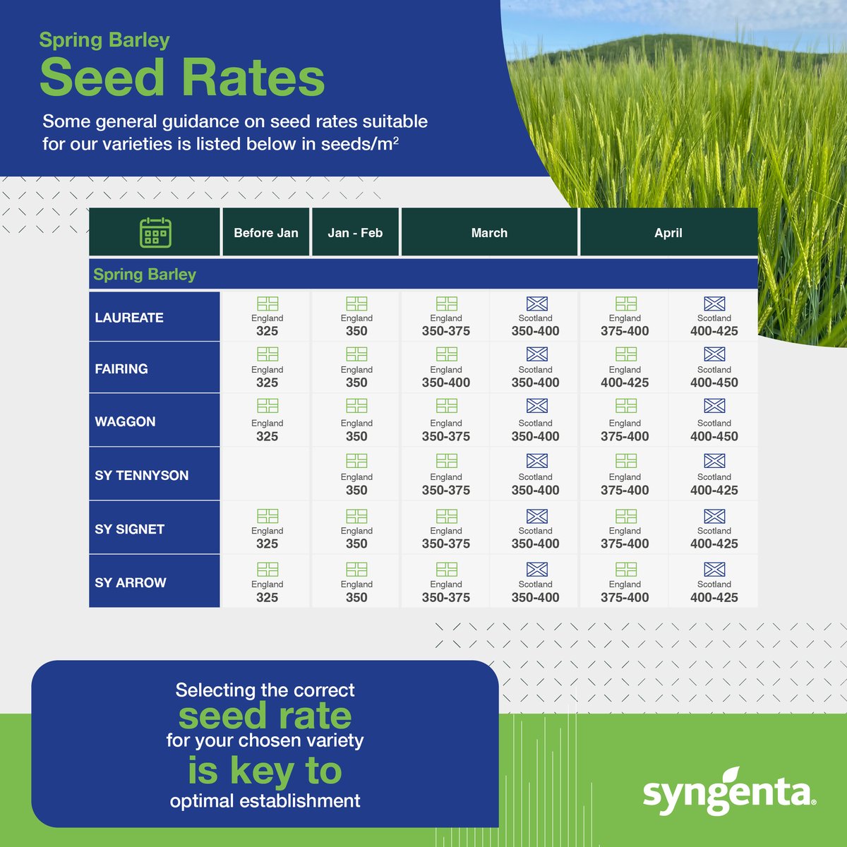 SyngentaUK's tweet image. Planning to drill spring barley? 🌾 Take a look at our seed rate guidance for optimal establishment! 🚜 #springbarley #seedrates #optimiseyourcrop