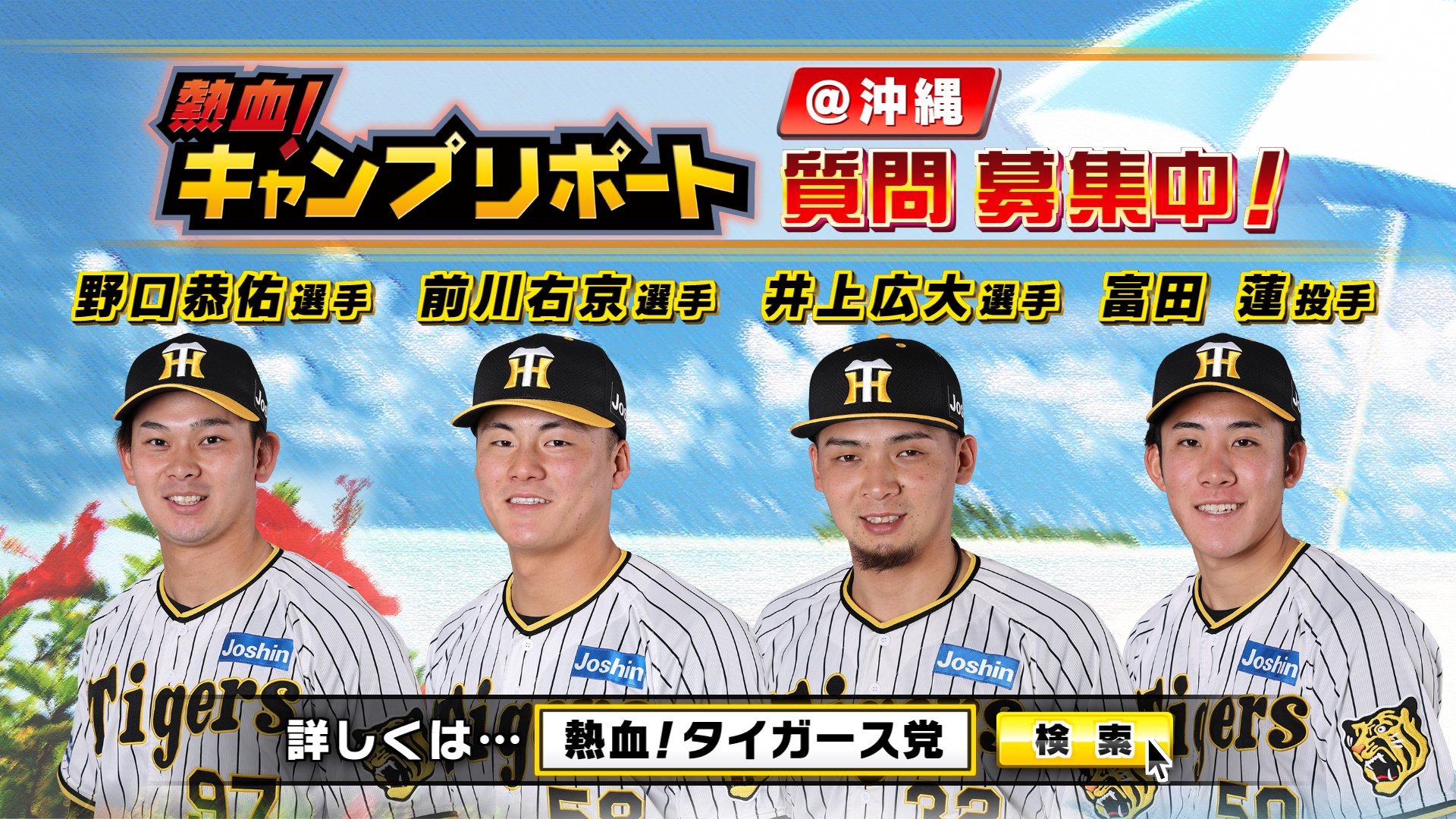 阪神タイガース - タイガース党 熱血！タイガース党／サンテレビボックス席(阪神タイガース中継