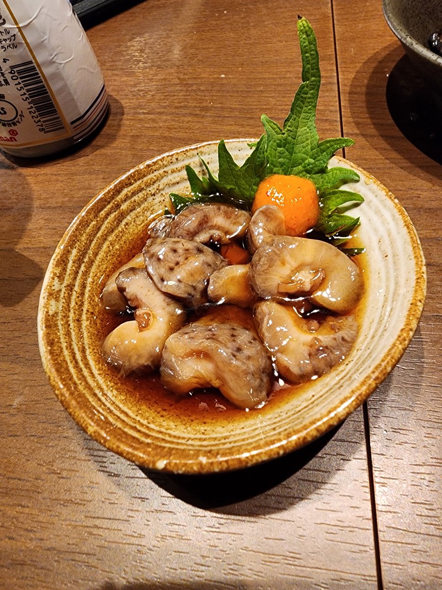 frog520's tweet photo. 熱海旅行
ハブ酒初めて飲んだ https://t.co/OGA235EkoF