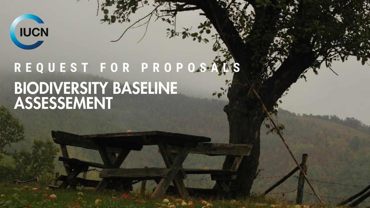🌿 Call for Proposals: Biodiversity Baseline Assessment in Serbia 🌿

We are seeking proposals for a biodiversity baseline assessment consultancy at an NbS pilot site in 🇷🇸.

🔹 Deadline: 14 Feb 2025
🔹 Project: NbS for Climate Change Mitigation &amp; Adaptation in the